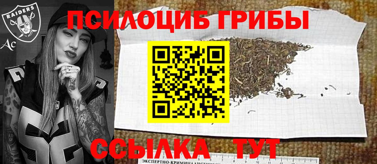 Псилоцибиновые грибы Cubensis  закладки  Псилоцибиновые грибы Psilocybe  Выкса  Вход с VPN 