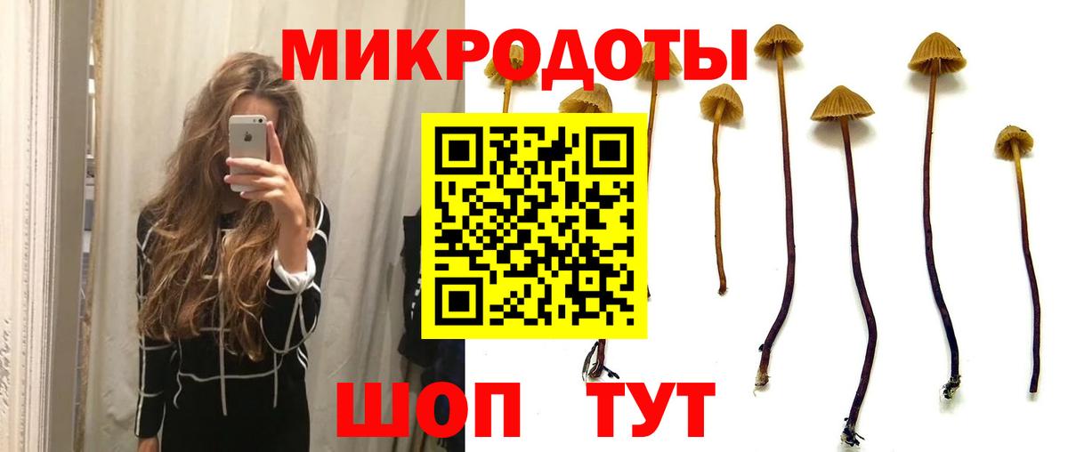 Псилоцибиновые грибы MAGIC MUSHROOMS Выкса