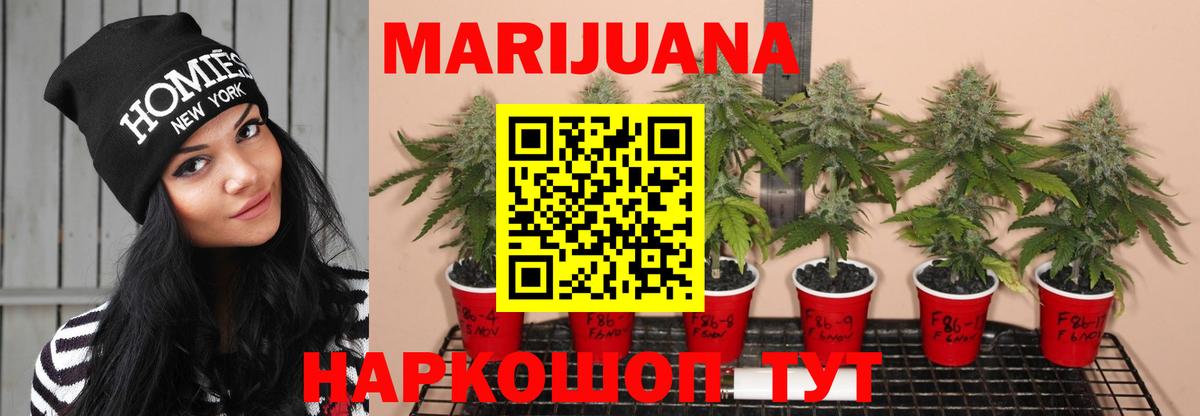Бошки марихуана Bruce Banner  Каннабис VHQ  МАРИХУАНА SATIVA & INDICA  Марихуана MAZAR  Вход с VPN  Выкса 